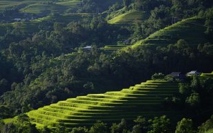 自然光户外写真视频，绿色山林背景，模特着白色服装，画面清新自然，与玩偶姐姐森林系列风格相近